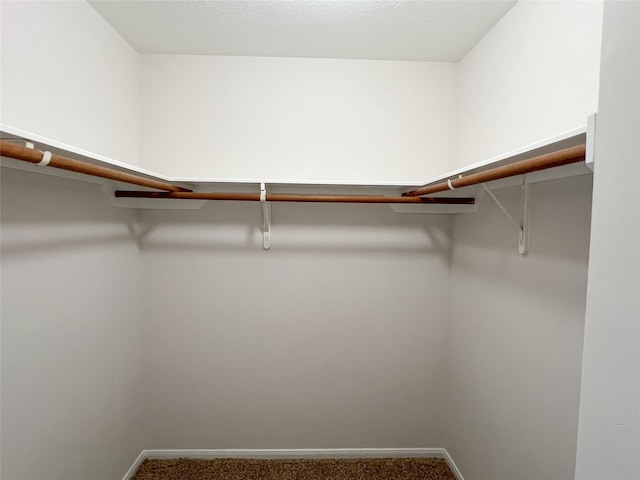 spacious closet featuring carpet floors