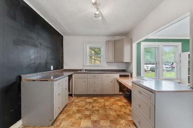 kitchen featuring kitchen peninsula, gray cabinetry, sink, and a textured ceiling