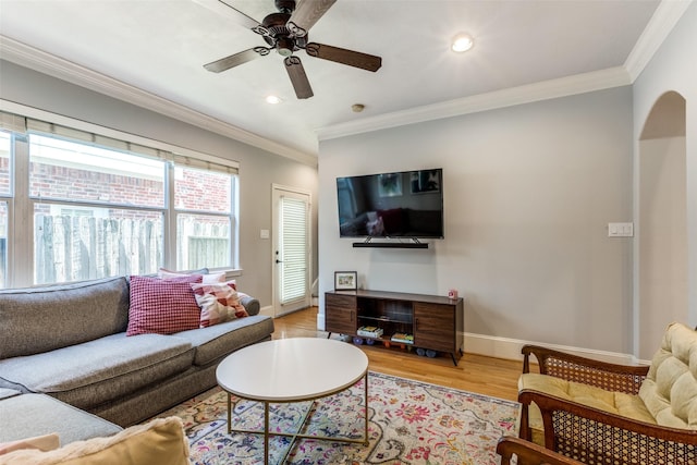 living room featuring ceiling fan, light wood-type flooring, and ornamental molding