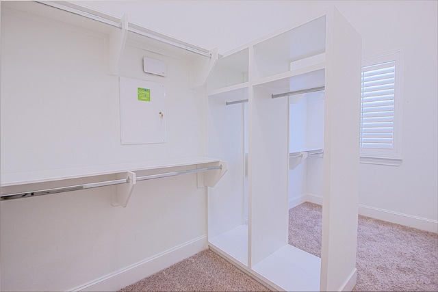 walk in closet with light colored carpet