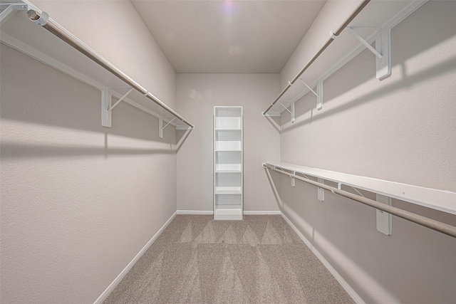 spacious closet with carpet flooring