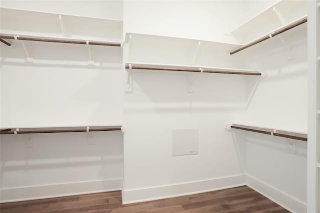 spacious closet featuring wood finished floors