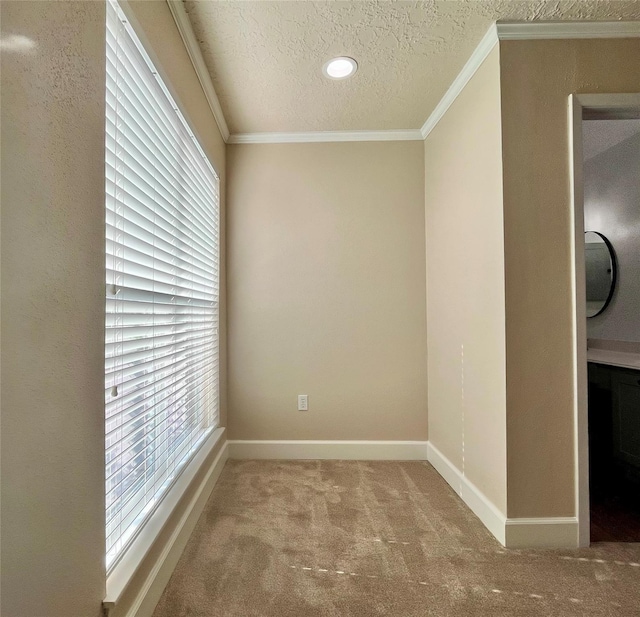 carpeted spare room featuring crown molding and a textured ceiling