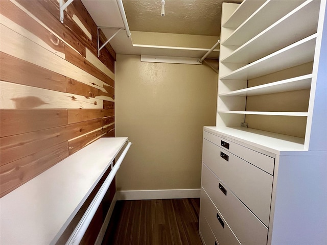 spacious closet featuring dark hardwood / wood-style flooring