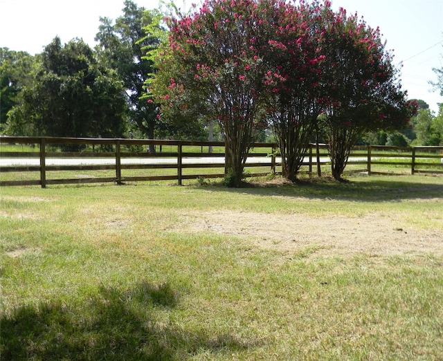 view of yard with a rural view