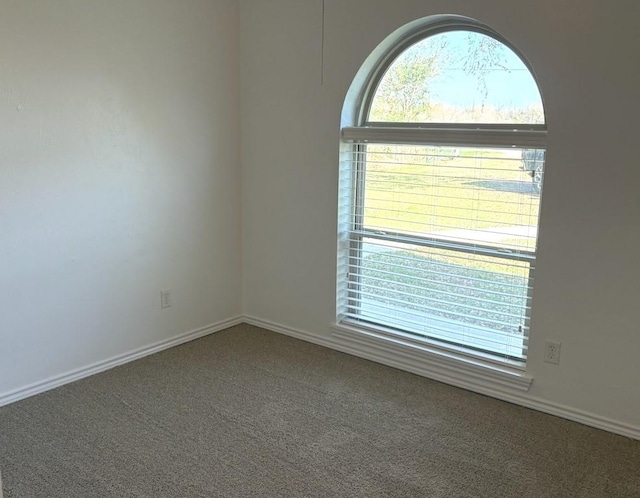 carpeted spare room featuring plenty of natural light