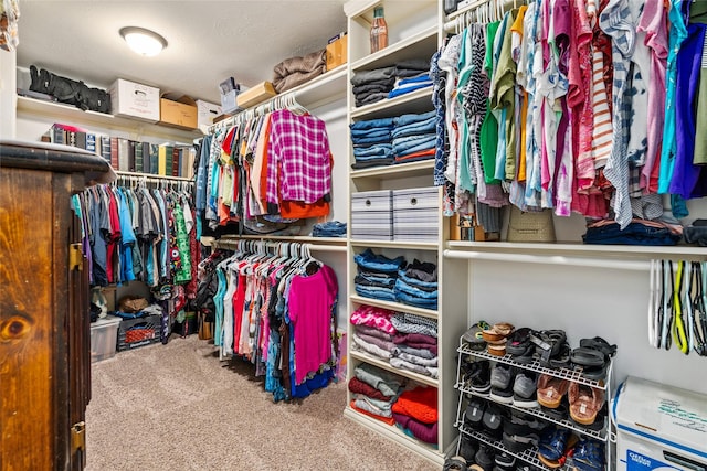 spacious closet featuring carpet flooring