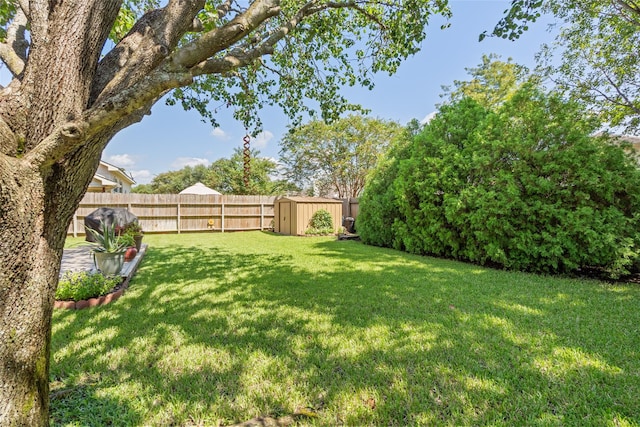 view of yard featuring a shed