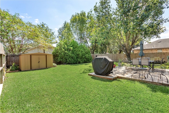 view of yard with a patio and a storage unit