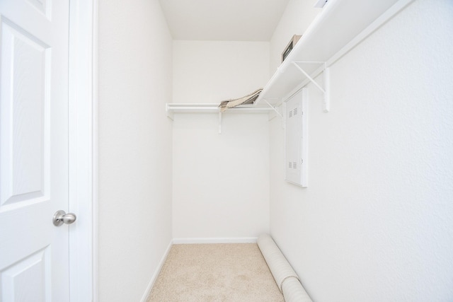 spacious closet featuring light carpet