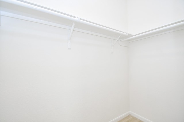 spacious closet featuring carpet floors