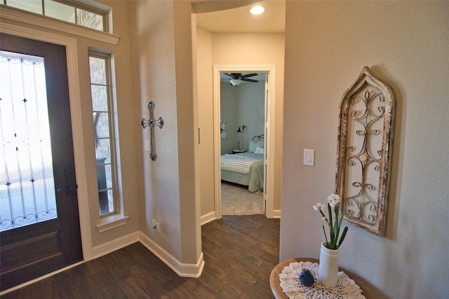 entrance foyer featuring ceiling fan and dark hardwood / wood-style flooring