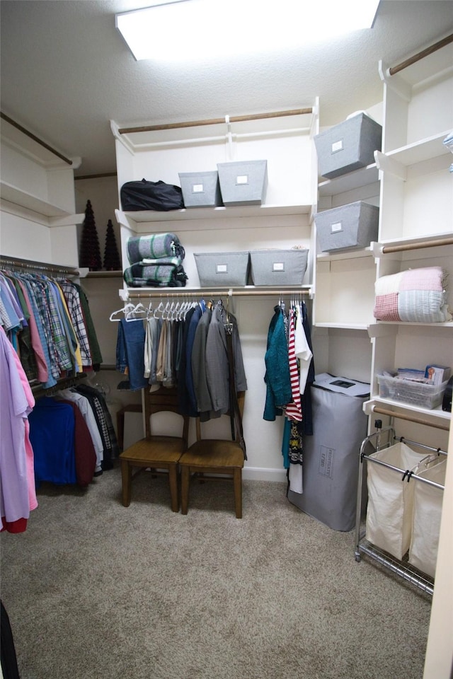 walk in closet featuring carpet