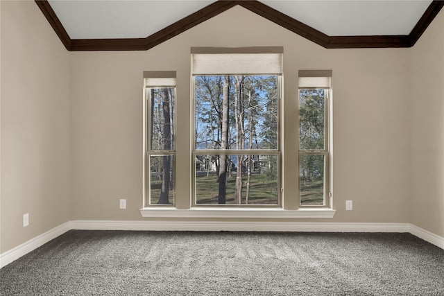 carpeted spare room featuring crown molding