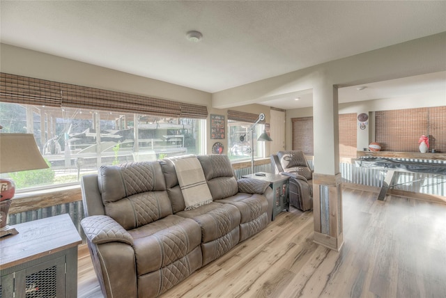 living room with light wood-type flooring