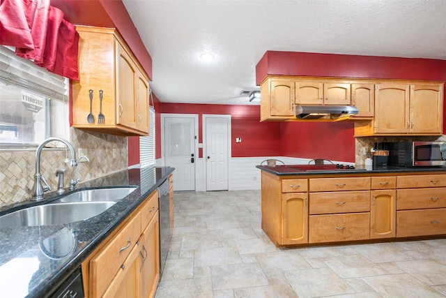 kitchen with appliances with stainless steel finishes, a textured ceiling, sink, dark stone countertops, and backsplash