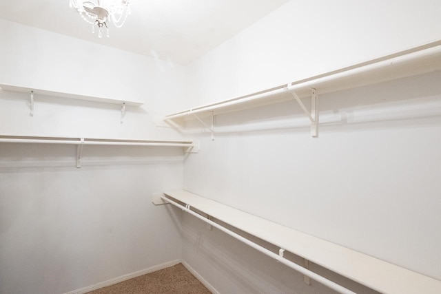 walk in closet with carpet