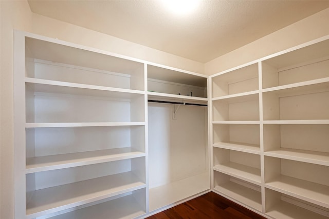 walk in closet with dark hardwood / wood-style floors