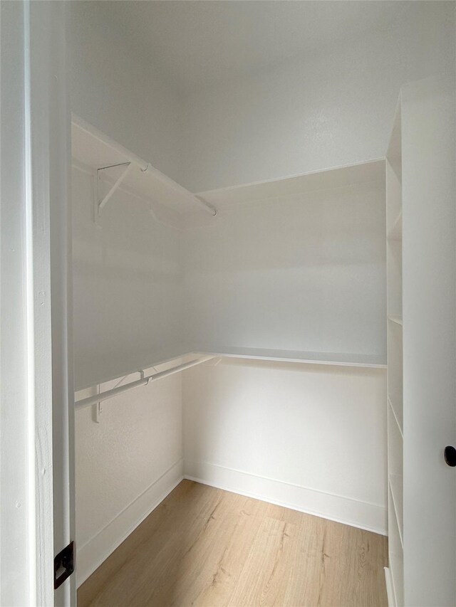 spacious closet featuring wood-type flooring