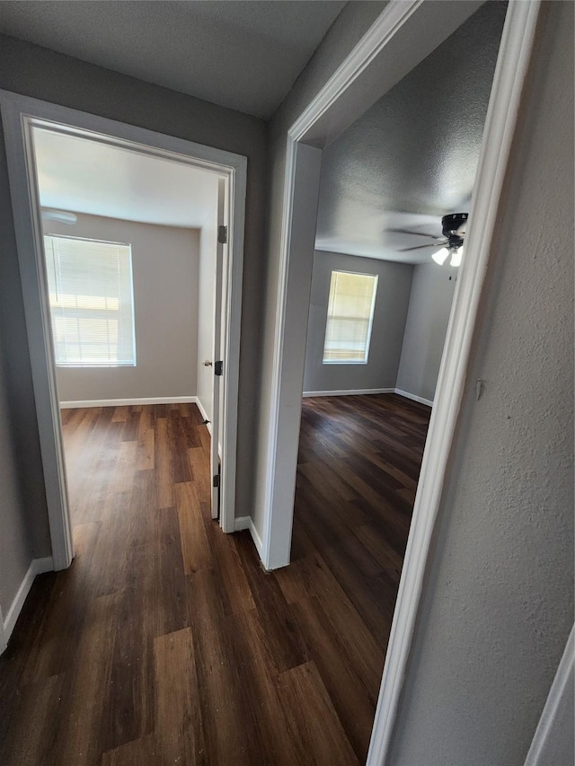 hallway with a textured ceiling and dark hardwood / wood-style floors