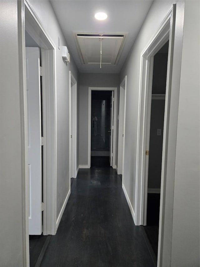 hall featuring dark hardwood / wood-style floors