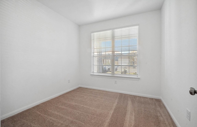 unfurnished room with carpet flooring