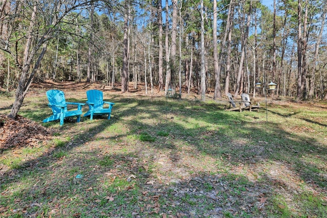 491 Wentworth Ln, Coldspring, TX 77331 - photo 30