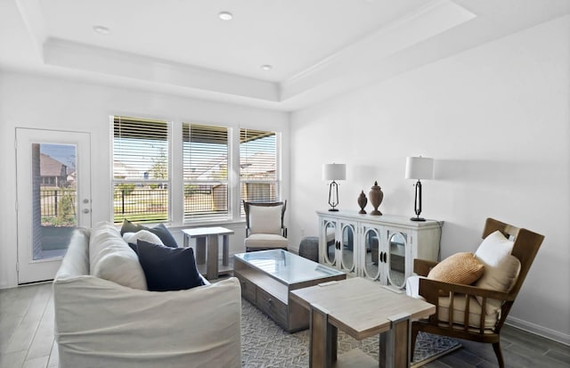 living room with light hardwood / wood-style floors and a raised ceiling