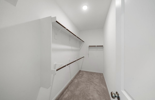 walk in closet with light colored carpet