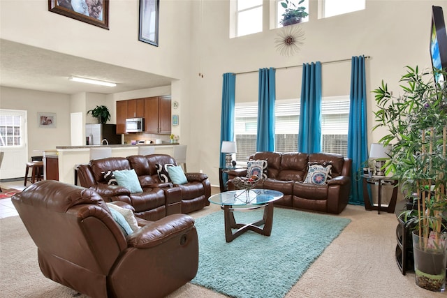 view of carpeted living room