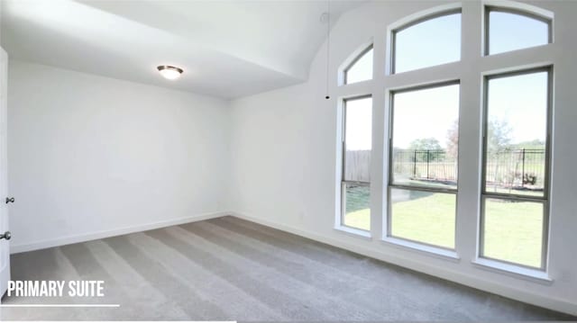 empty room with carpet flooring and plenty of natural light