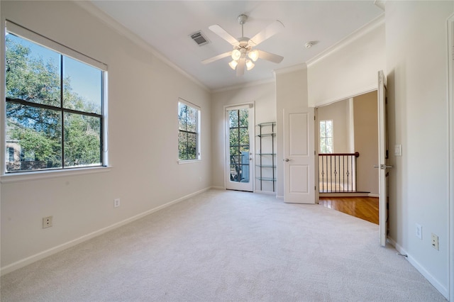 spare room featuring ceiling fan, carpet, and ornamental molding