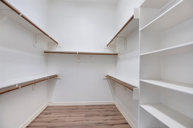 walk in closet featuring light wood-type flooring