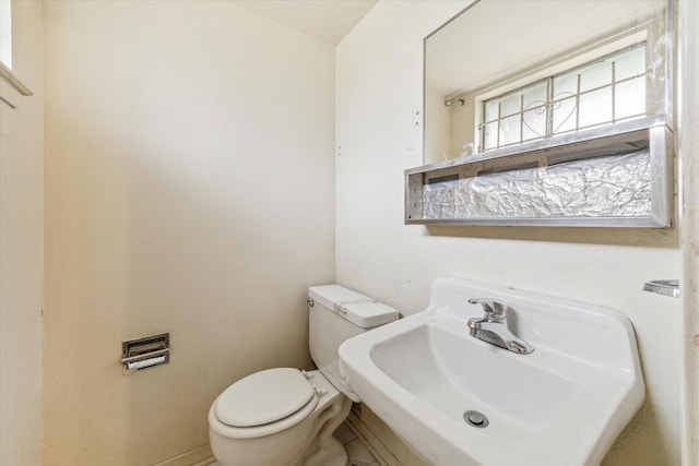 bathroom featuring sink and toilet