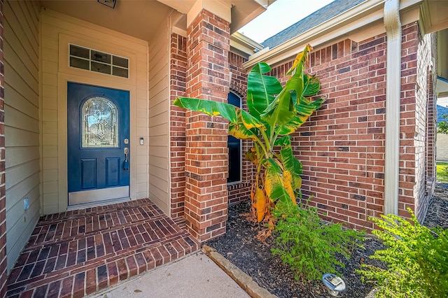 3815 Founders Dr, Needville, TX 77461 - doorway to property featuring brick siding
