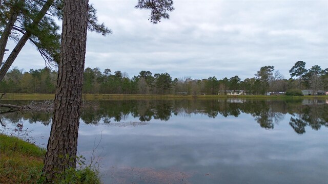 3818 Sam Houston Rd, Willis, TX 77378 - photo 2