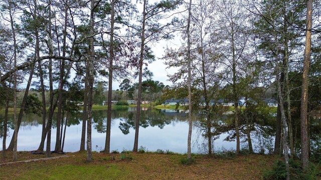 3818 Sam Houston Rd, Willis, TX 77378 - photo 1