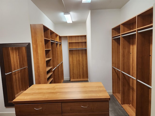 spacious closet featuring carpet flooring