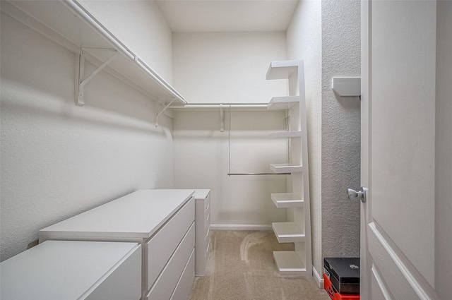 spacious closet with light colored carpet