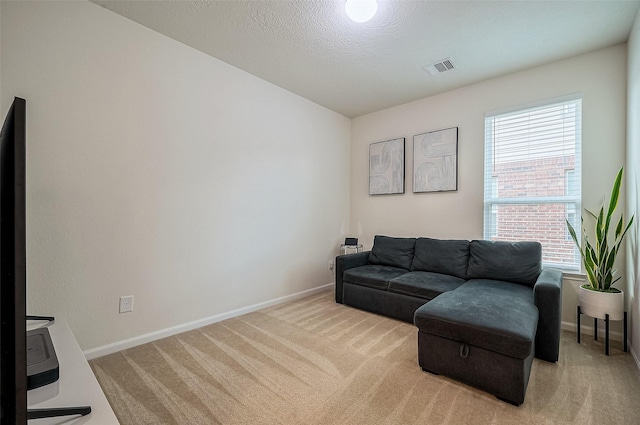 carpeted living room featuring plenty of natural light and a textured ceiling