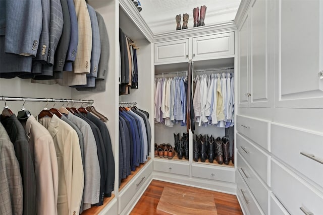 walk in closet featuring wood-type flooring