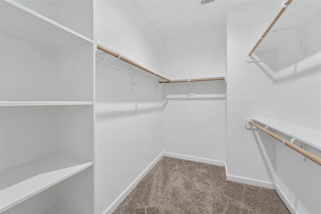 spacious closet with carpet floors