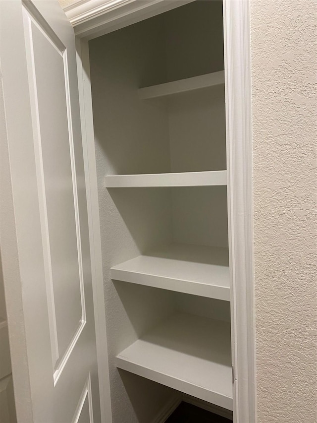 12209 Renewal Way, Houston, TX 77047 - view of closet