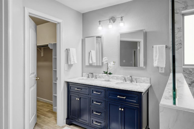 bathroom with vanity and wood-type flooring