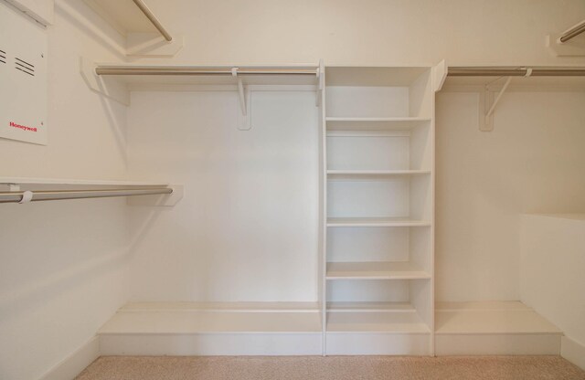 spacious closet with carpet floors