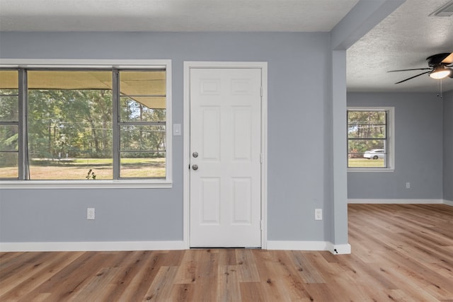 foyer featuring a healthy amount of sunlight, a textured ceiling, and light hardwood / wood-style flooring