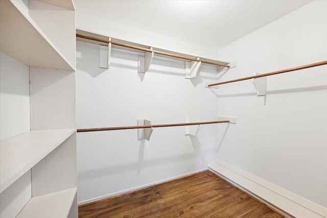 spacious closet featuring dark hardwood / wood-style floors