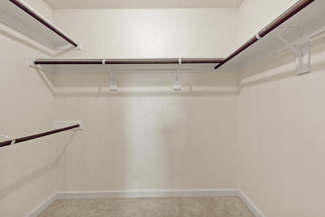 walk in closet featuring carpet