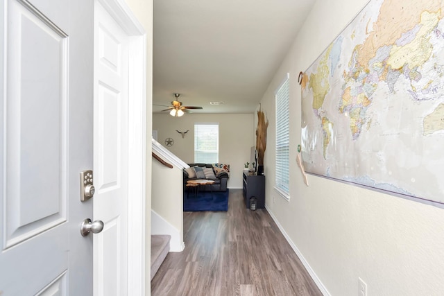 foyer entrance featuring ceiling fan and wood-type flooring