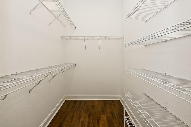 spacious closet with dark wood-type flooring